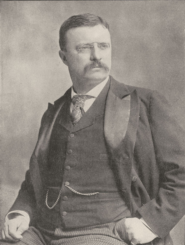 THEODORE ROOSEVELT. 26th President, US 1907 old antique vintage print picture